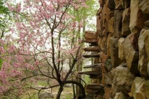 金华寺森林公园